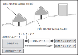 図2 DSMとDTM