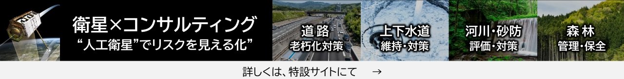 次世代コンサルティングサービス