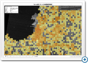 SAR画像判読結果