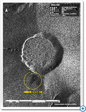 SAR画像判読結果