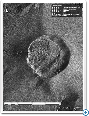 SAR画像判読結果