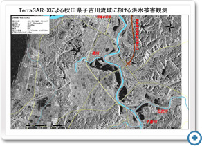 SAR画像判読結果