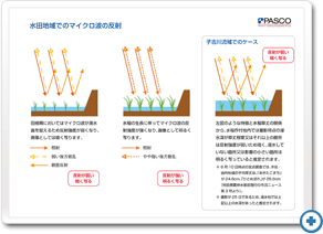 水田地域でのマイクロ波の反射