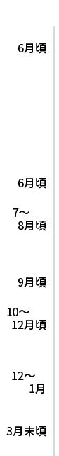 PLATEAU補助制度 申請から採択までの流れ ー次年度に向けたスケジュール(予定)