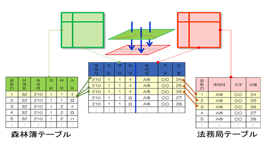 林地台帳データベースの内部構造例